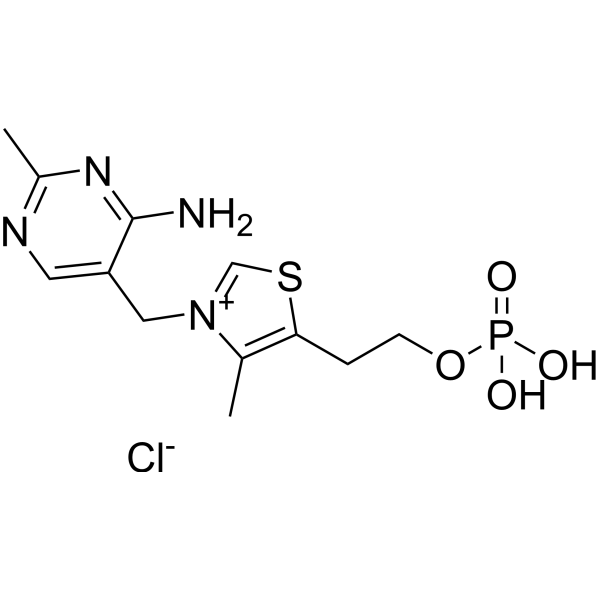 Vitamin B1 monophosphate chloride 532-40-1